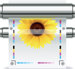 image of Large Format Printer.