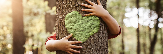 tree being hugged with a green heart