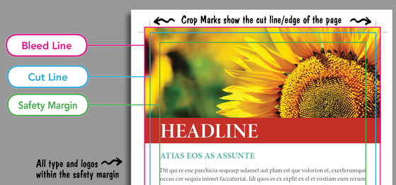 Quick Tip: Cut Lines and Safe Zones  Want to know the difference between  cut lines and safe zones in Fundy Designer, and how they affect your  printed album? This Quick Tip