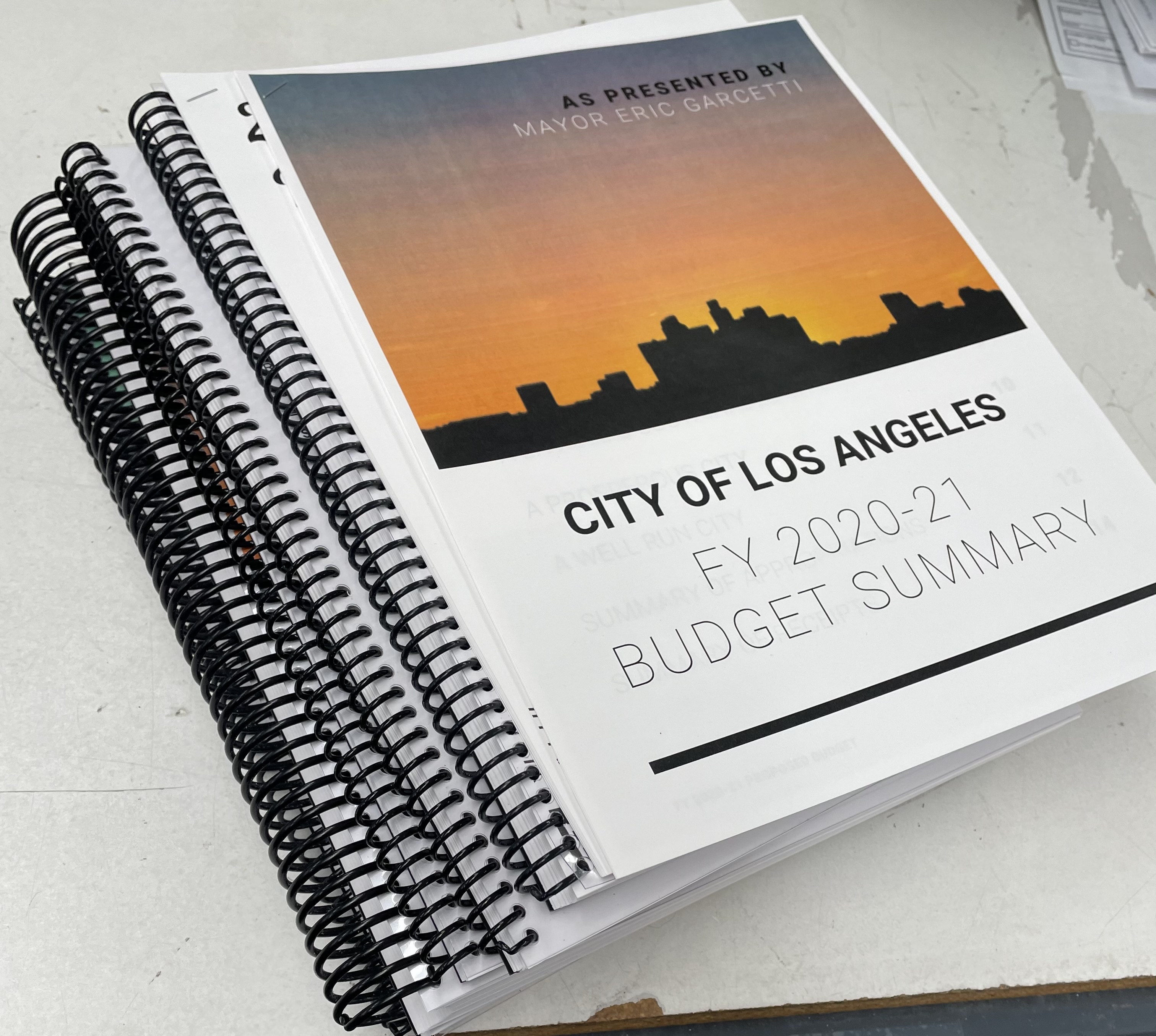 L A City Budget